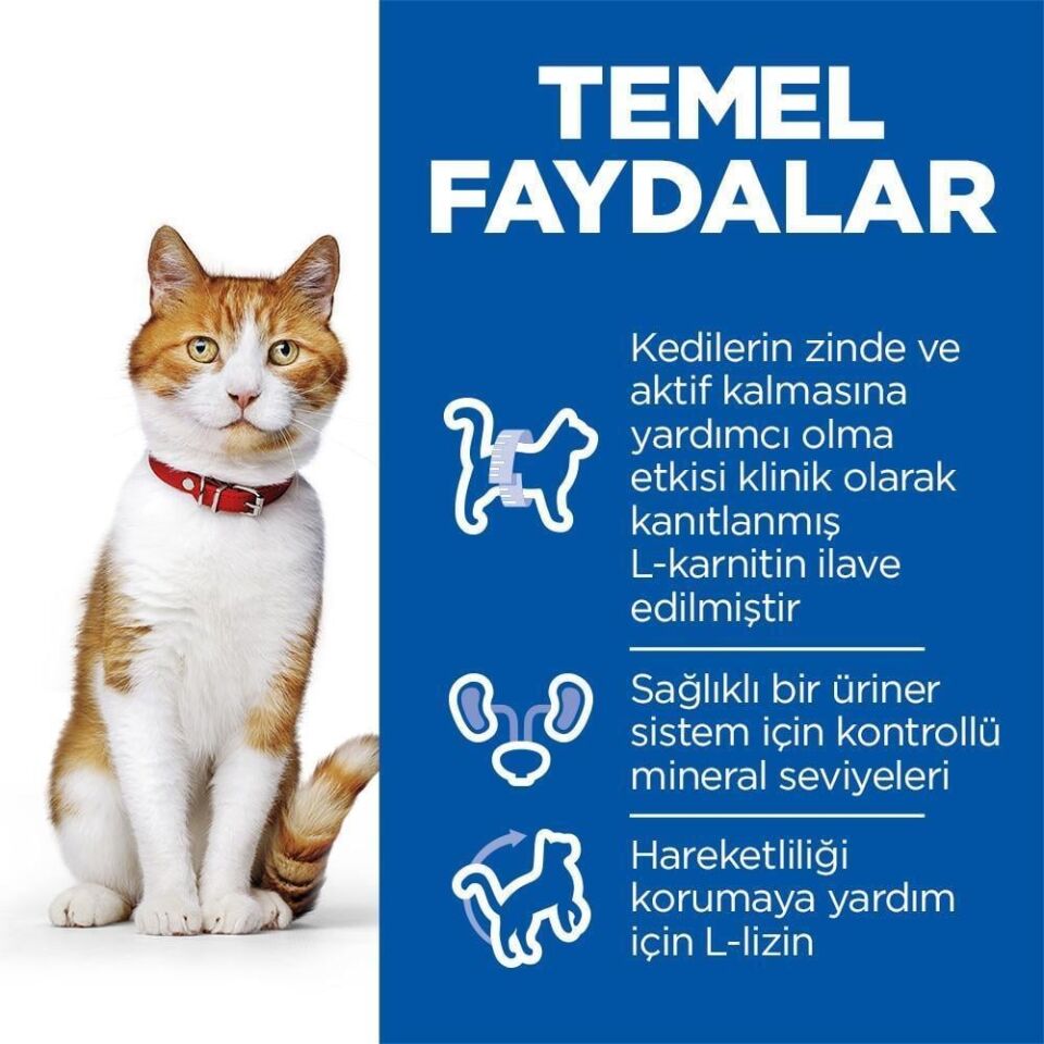 Hills Somon Balıklı Kısırlaştırılmış Kedi Maması 10 Kg