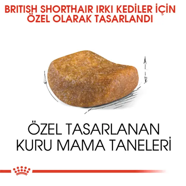 Royal Canin British Shorthair Için Kuru Kedi Maması 4kg
