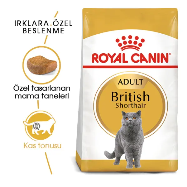 Royal Canin British Shorthair Için Kuru Kedi Maması 4kg