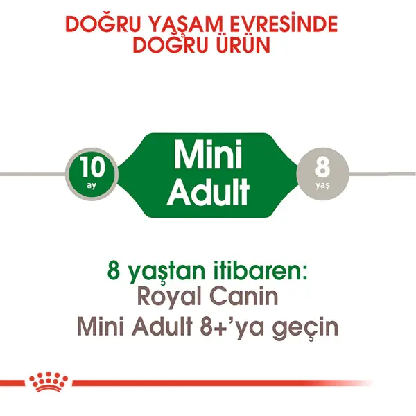 Royal Canin Mini Küçük Irk Yetişkin Köpek Maması 8kg