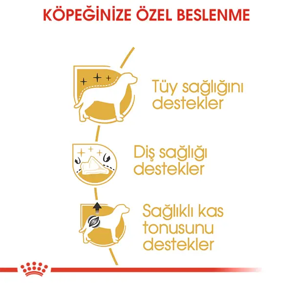 Royal Canin Poodle Yetişkin Köpek Maması 3kg