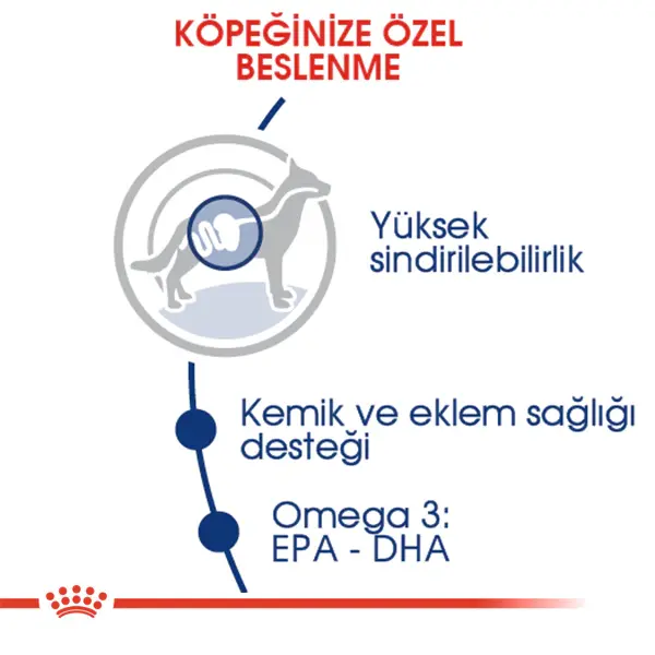 Royal Canin Maxi Büyük Irk Yetişkin Köpek Maması 15kg