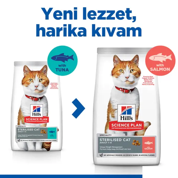 Hill's SCIENCE PLAN Somonlu Kısırlaştırılmış Kedi Maması 13kg + 2kg HEDİYE!