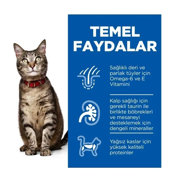 Hill's SCIENCE PLAN Optimal Care Tavuklu Yetişkin Kedi Maması 3kg